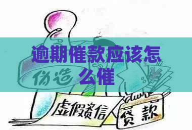 逾期催款应该怎么催