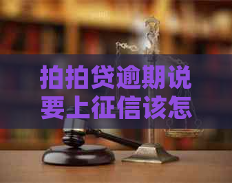逾期说要上该怎么办