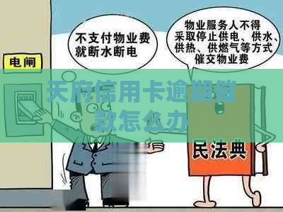 天府信用卡逾期催款怎么办