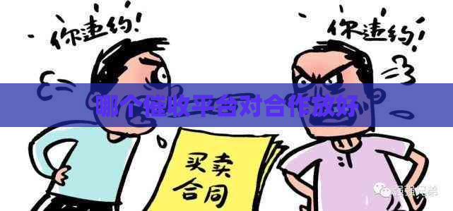 哪个平台对合作放好