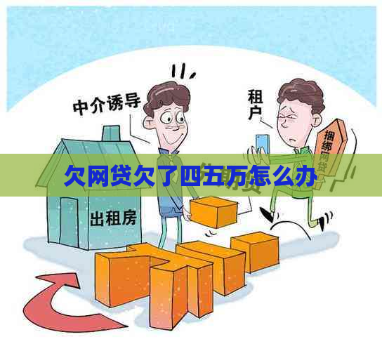 欠网贷欠了四五万怎么办