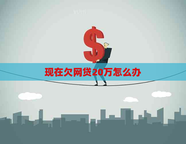 现在欠网贷20万怎么办