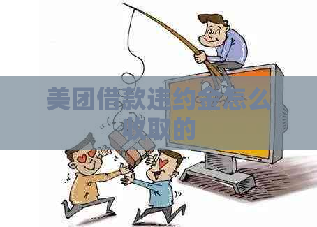 美团借款违约金怎么收取的