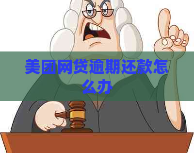 美团网贷逾期还款怎么办