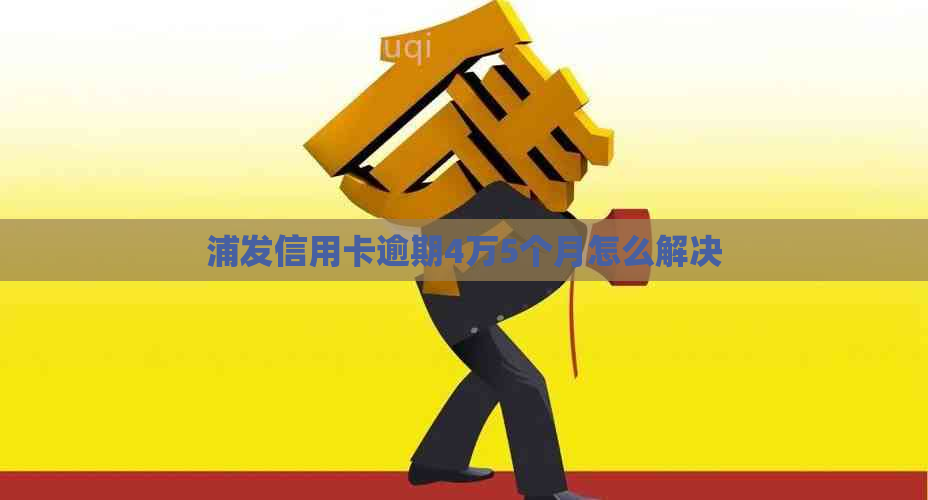 浦发信用卡逾期4万5个月怎么解决