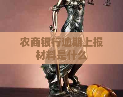 农商银行逾期上报材料是什么