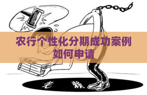 农行个性化分期成功案例如何申请