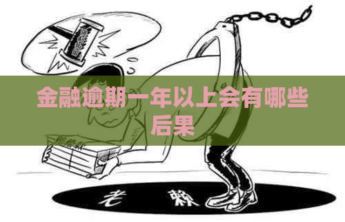 金融逾期一年以上会有哪些后果