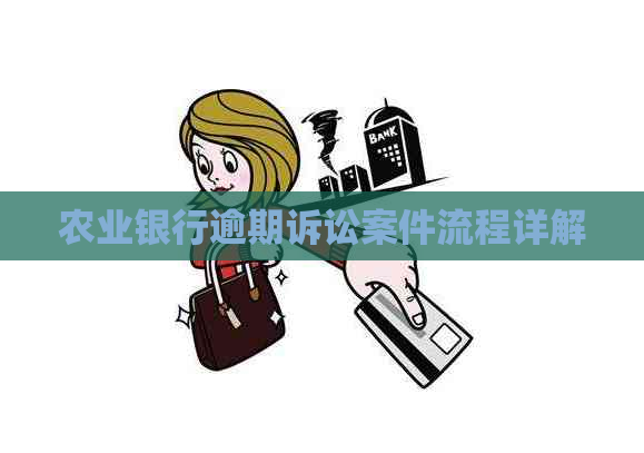 农业银行逾期诉讼案件流程详解