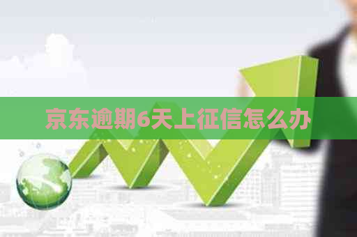 京东逾期6天上怎么办