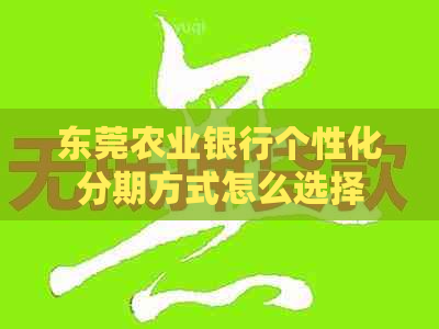 东莞农业银行个性化分期方式怎么选择