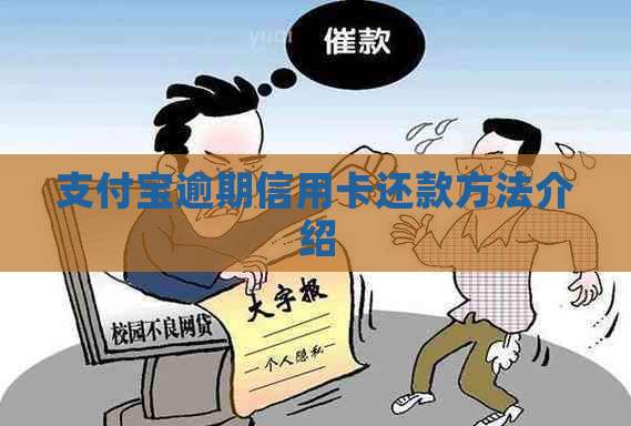 支付宝逾期信用卡还款方法介绍