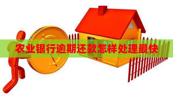 农业银行逾期还款怎样处理最快