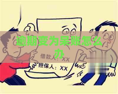 逾期变为呆账怎么办
