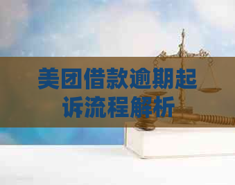 美团借款逾期起诉流程解析
