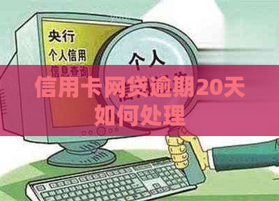 信用卡网贷逾期20天如何处理