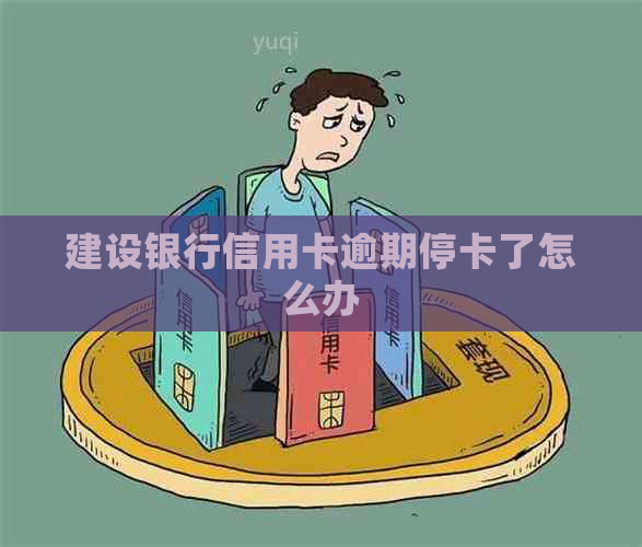 建设银行信用卡逾期停卡了怎么办