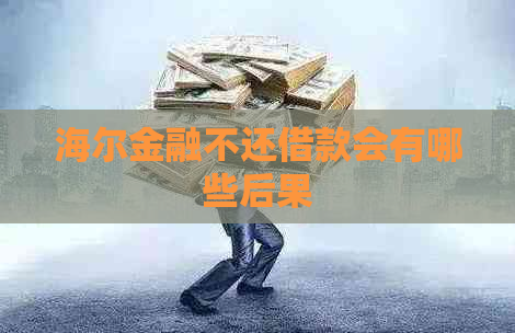 海尔金融不还借款会有哪些后果