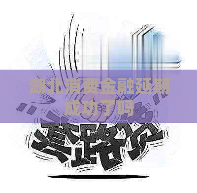 湖北消费金融延期成功了吗