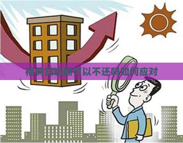 榕树贷逾期可以不还吗如何应对