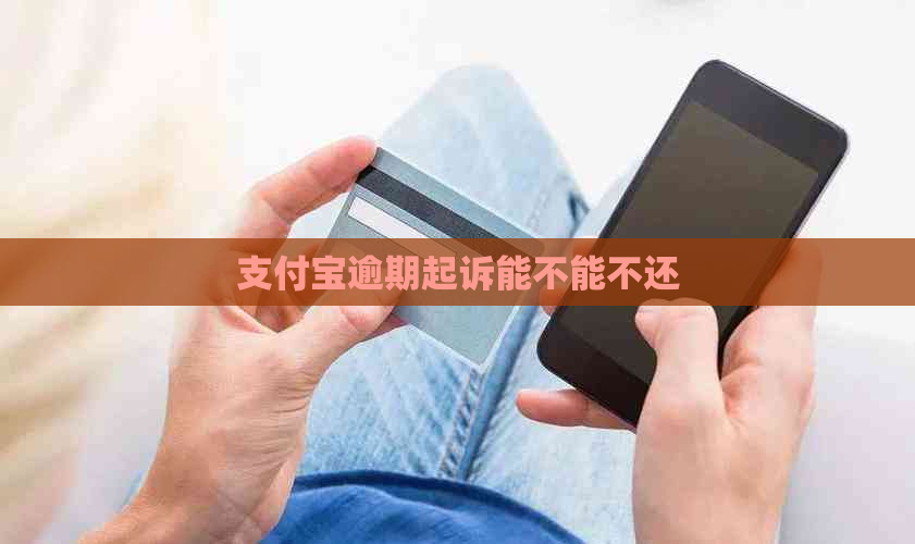 支付宝逾期起诉能不能不还