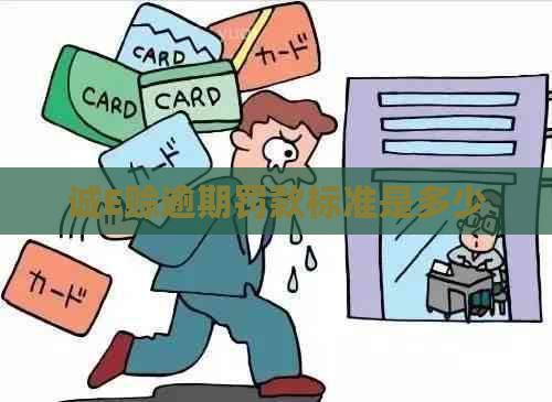 诚E赊逾期罚款标准是多少
