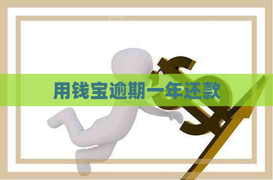 用钱宝逾期一年还款
