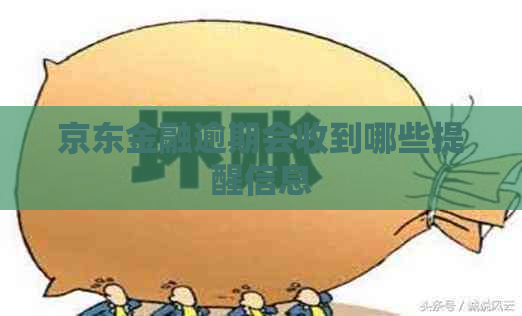 京东金融逾期会收到哪些提醒信息