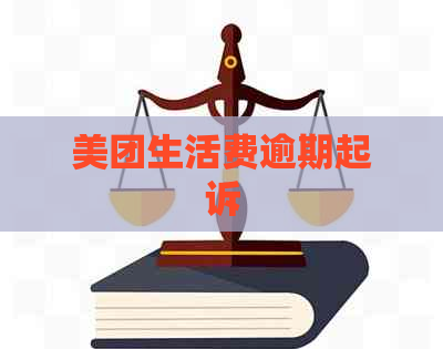 美团生活费逾期起诉