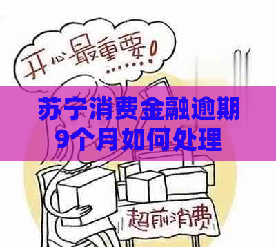 苏宁消费金融逾期9个月如何处理