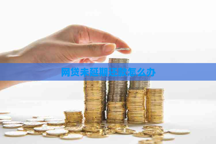 网贷未延期还款怎么办