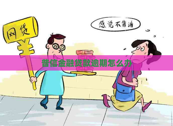 普信金融贷款逾期怎么办
