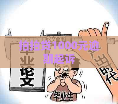 1000元逾期起诉 1000元逾期起诉