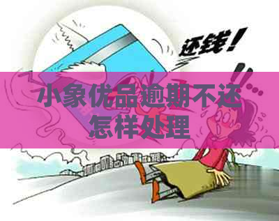小象优品逾期不还怎样处理
