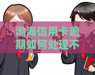 渤海信用卡逾期如何处理不能协商