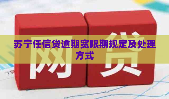 苏宁任信贷逾期宽限期规定及处理方式
