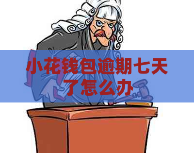 小花钱包逾期七天了怎么办