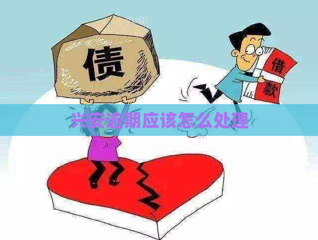 兴安逾期应该怎么处理