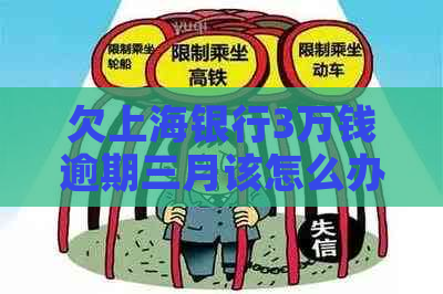 欠上海银行3万钱逾期三月该怎么办