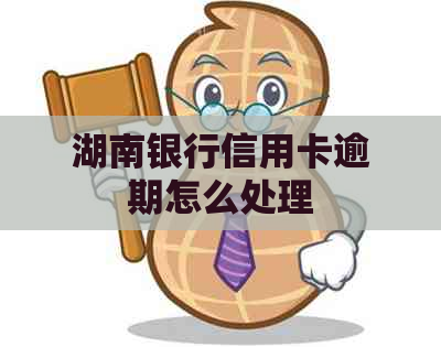 湖南银行信用卡逾期怎么处理