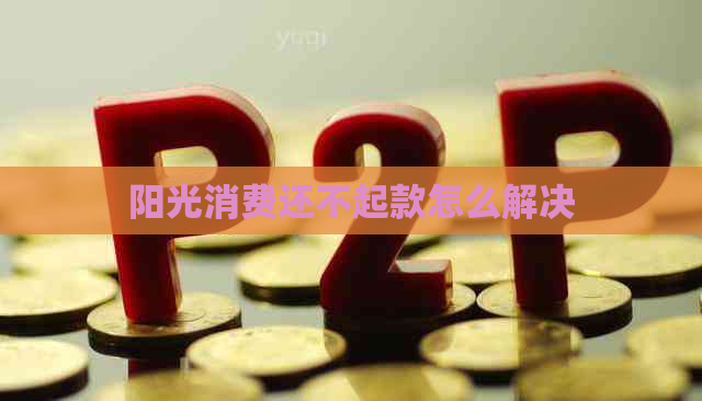 阳光消费还不起款怎么解决