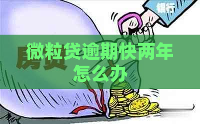 微粒贷逾期快两年怎么办