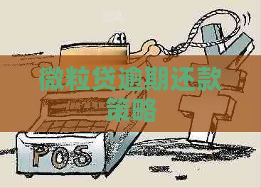 微粒贷逾期还款策略