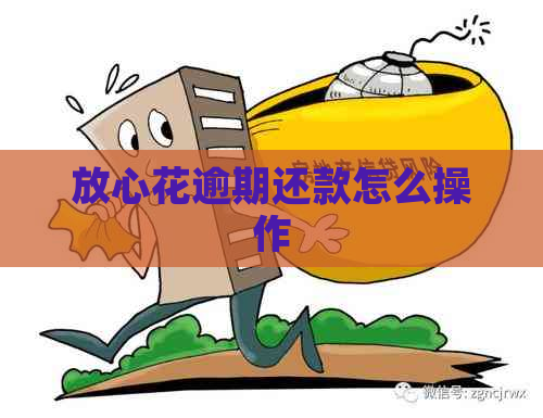 放心花逾期还款怎么操作