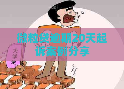微粒贷逾期20天起诉案例分享