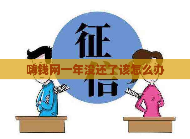 嗨钱网一年没还了该怎么办