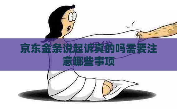 京东金条说起诉真的吗需要注意哪些事项