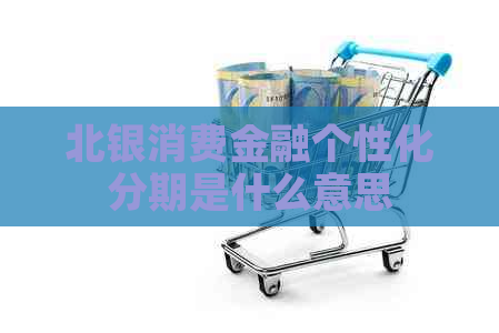 北银消费金融个性化分期是什么意思