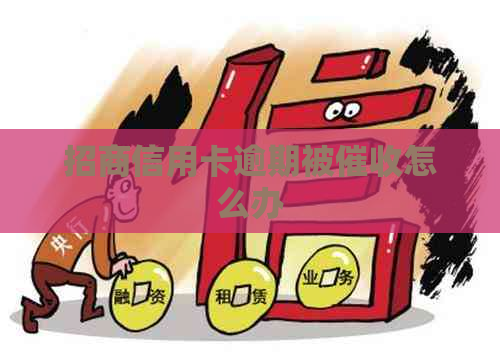 招商信用卡逾期被怎么办