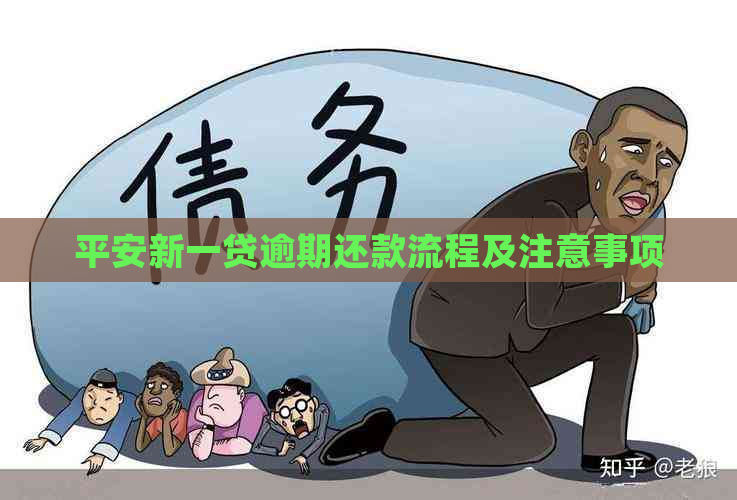 平安新一贷逾期还款流程及注意事项